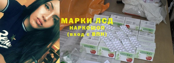 ПСИЛОЦИБИНОВЫЕ ГРИБЫ Михайловка
