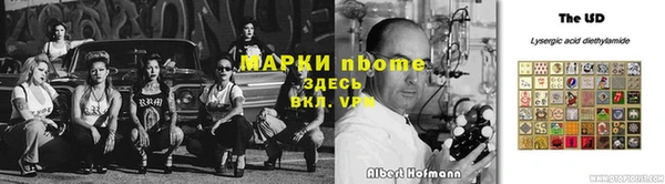 ПСИЛОЦИБИНОВЫЕ ГРИБЫ Михайловка