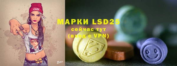 ГАЛЛЮЦИНОГЕННЫЕ ГРИБЫ Михайловск