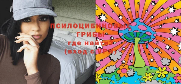 стафф Медвежьегорск
