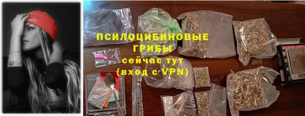 ГАЛЛЮЦИНОГЕННЫЕ ГРИБЫ Михайловск