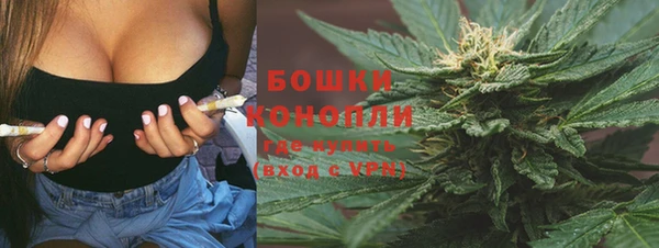 ПСИЛОЦИБИНОВЫЕ ГРИБЫ Михайловка